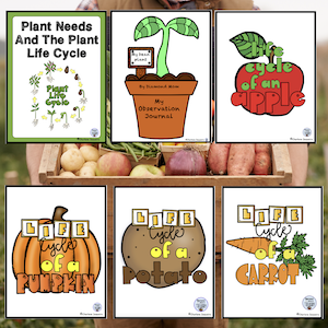 pictures of different plant life cycle resources