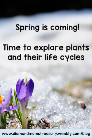 Spring is coming. Time to explore plants and their life cycles.