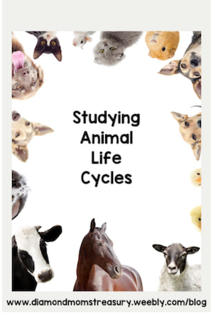 Studying animal life cycles
